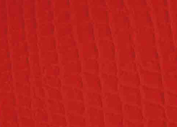 BRN Nastro Skin-rosso